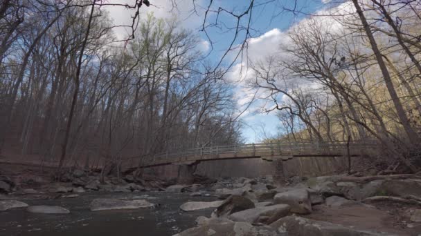 快速桥 Rapids Bridge 位于华盛顿特区的一个大溪谷公园石溪公园 Rock Creek Park 的行人天桥 在早春的一天看到的树 仍然大多是无叶的 — 图库视频影像