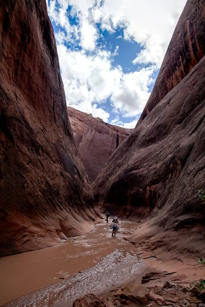 Üç sırt çantalı grup, Capitol Resif Ulusal Parkı 'nın uzak güney kesimindeki Halls Creek Dar' ından geçiyor. Utah 'ta.