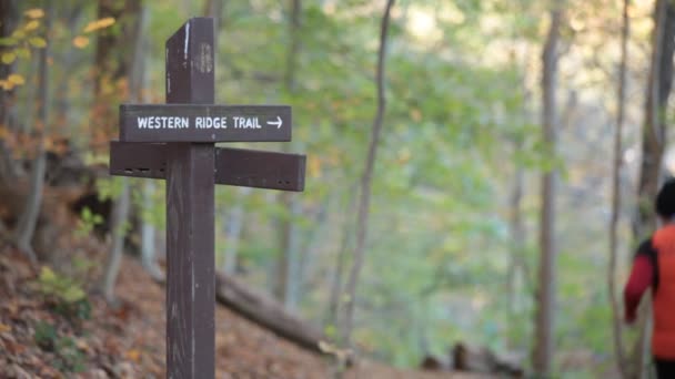 Sebuah Tanda Western Ridge Trail Ditampilkan Dalam Close Sebagai Pelari — Stok Video
