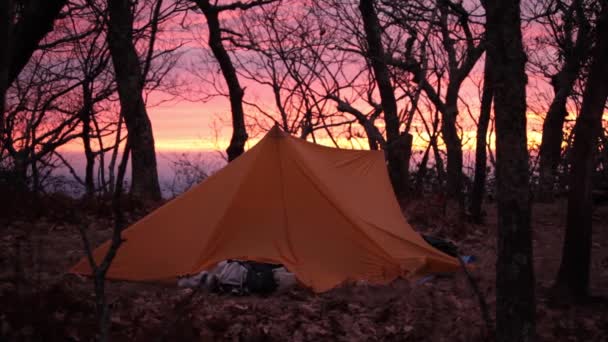 当太阳从弗吉尼亚乔治华盛顿国家森林的三个山脊荒芜之地的防水布后面升起时 一个男人走出了防水布棚 — 图库视频影像