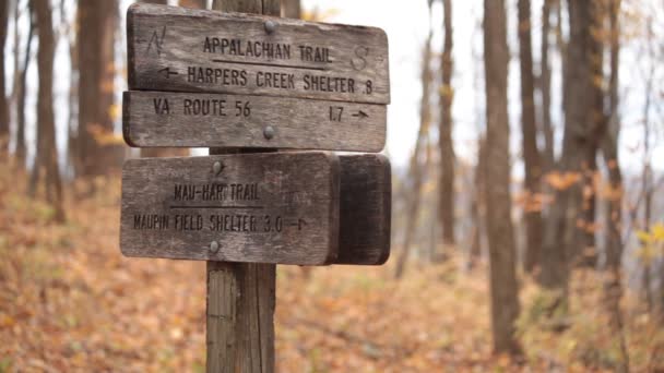 แยกของเส นทาง Appalachian และ Mau Har Trail Three Ridges Wilderness — วีดีโอสต็อก