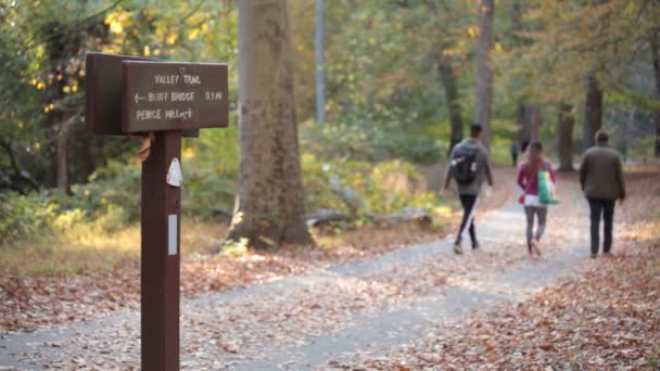 Pada Musim Gugur Washington Dcs Rock Creek Park Sebuah Tanda — Stok Video