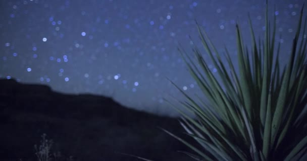 Hvězdná Obloha Národního Parku Big Bend Který Nachází Jižním Texasu — Stock video