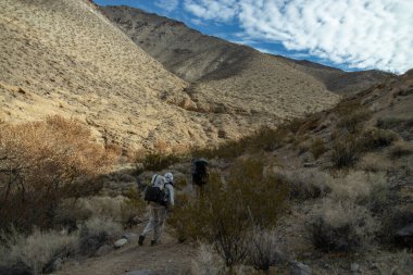 İki erkek gezgin Cottonwood Kanyonu 'nda yürüyüş yapıyor. Popüler Cottonwood Kanyonu' nun bir parçası. Kaliforniya 'daki Ölüm Vadisi Milli Parkı' nda Mermer Kanyon sırt çantasıyla geziyorlar.