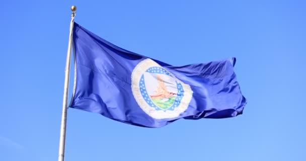 Flaga Departamentu Rolnictwa Stanów Zjednoczonych Usda Wisi Wietrze Nad Błękitnym — Wideo stockowe
