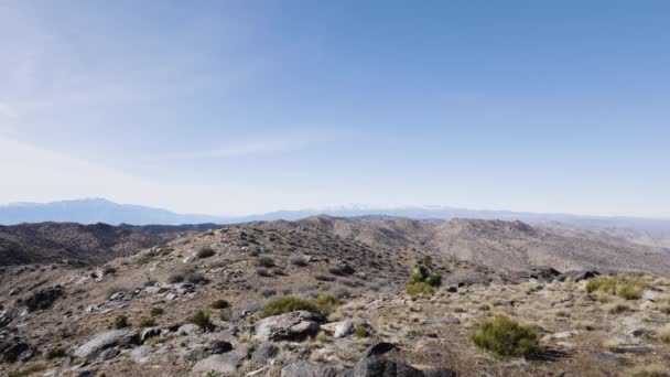 Widok Szczytu Góry Przepiórki Najwyższy Szczyt Parku Narodowym Joshua Tree — Wideo stockowe