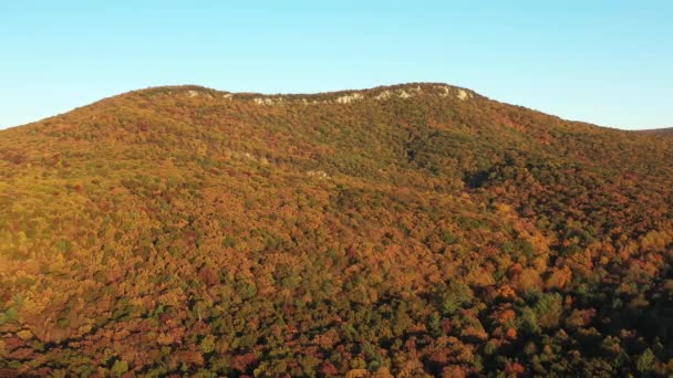Aerial Tracking Shot Halfmoon Mountain Located West Virginia Trout Run — Stockvideo
