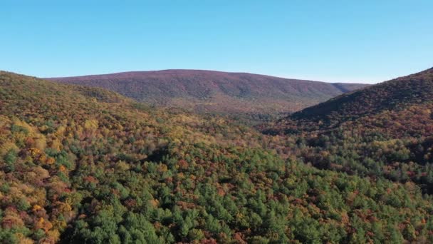 Aerial Panning Shot Halfmoon Mountain Trout Run Valley West Virginia — Stock videók