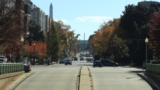 워싱턴 노스웨스트 건물들은 가을의 빛깔로 타오르고 있습니다 백악관은 수있다 — 비디오