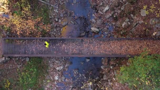 明るい黄色のジャケットを着た男が 頭上から見えるように森の小川の上の歩道橋を渡る カメラは カラフルな紅葉の天蓋を明らかにするために出て移動します — ストック動画