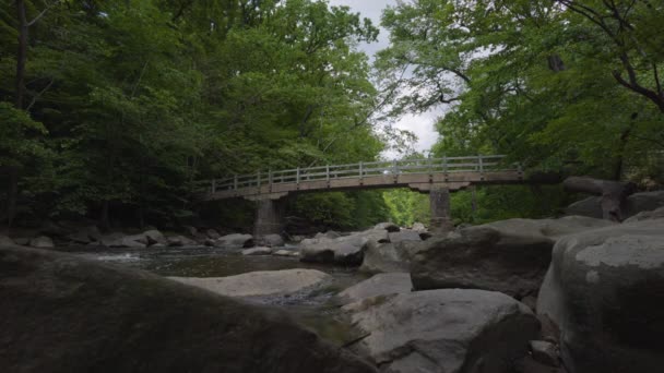 Starszy Mężczyzna Kapeluszu Plecaku Przechodzi Przez Most Rapids Parku Rock — Wideo stockowe
