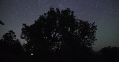 Utah 'taki Zion Ulusal Parkı' nın yakınlarındaki Eagle Crag Trail Head 'de gece gökyüzünde bir zaman atlaması. Kamera soldan sağa dönüyor..