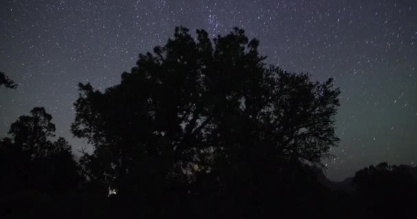 ユタ州のシオン国立公園の近くにあるイーグル クレイグ トレイル ヘッドでは 夜空に星がタイムラプスします カメラは左から右へ — ストック動画
