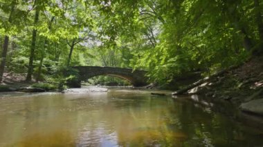 Bir bahar günü, Rock Creek Washington DC 'nin Rock Creek Parkı' ndaki Boulder Köprüsü 'nün altından akar ve geniş bir açıyla sağdan sola doğru izler. Manzara yapraklardan oluşan yeşil bir gölgeliğe sahip ağaçları içerir..