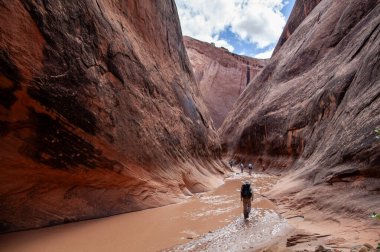 Üç sırt çantalı grup Utah 'taki Capitol Reef Ulusal Parkı' nın uzak güney kesimindeki Halls Creek Dar 'ında yürüyor. Yazı.