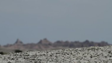 Güney Dakota 'daki Badlands Ulusal Parkı' nda bir yürüyüşçü popoları arka planda yürürken görülüyor. Yakından bakınca yürüyüşçünün ayakkabılarını kuru çamurda yakalıyor..