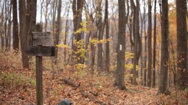 Appalachian Patikası ve Mau Har Patikası 'nın kavşağı George Washington Ulusal Ormanı' nın Üç Tepe Vahşi Doğası 'nda bulunur..