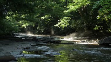 Batı Virginia 'daki Monongahela Ulusal Ormanı' nın bir parçası olan Dolly Sods Wilderness 'da Red Creek' ten sabah sisi yükseliyor..