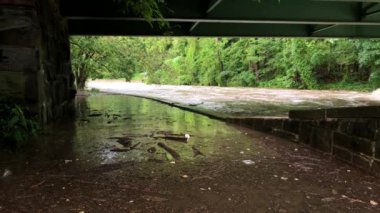 Şiddetli yağmurların yol açtığı sel, Washington 'daki Pierce Mill yakınlarındaki Rock Creek Parkı' nda bisiklet yolunu sular altında bıraktı..
