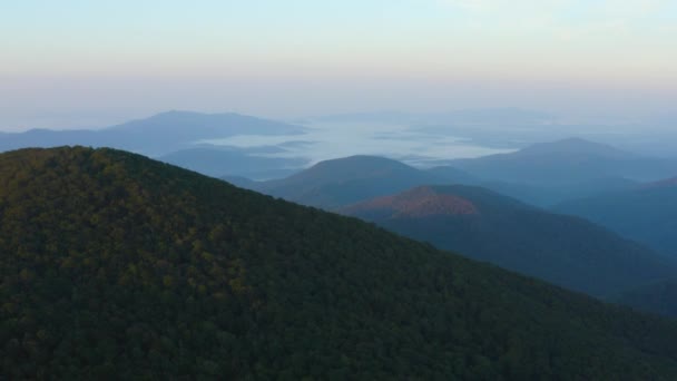 山頂の空中ショット ドーリーイン バージニア州のジョージワシントン国立の森のマウントプレザント特別管理エリアに位置し 日の出時に快適で周囲の山々 — ストック動画