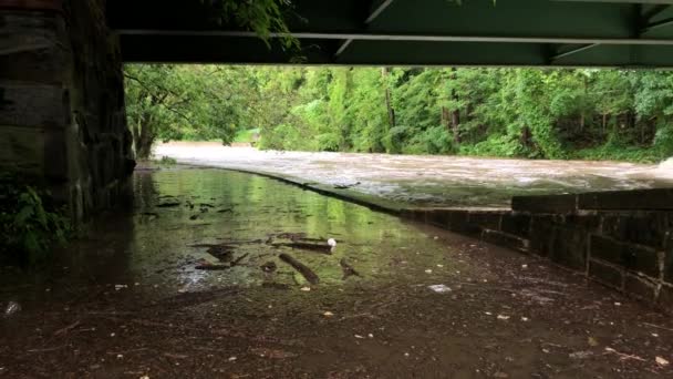 Heves Esőzések Által Okozott Villámáradás Elárasztja Kerékpárutat Rock Creek Parkban — Stock videók
