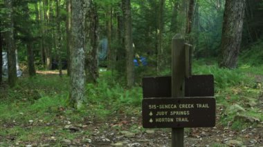 Batı Virginia 'daki Spruce Knob-Seneca Kayalıkları Ulusal Eğlence Bölgesi' nde Seneca Creek Trail Sinyal Merkezi. Yaz.