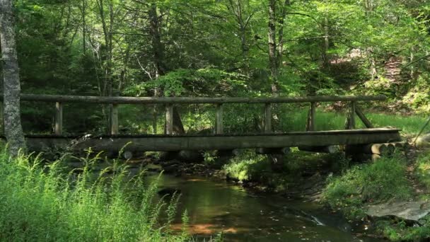 Jembatan Kosong Judy Springs Terletak Dalam Kawasan Rekreasi Nasional Spruce — Stok Video