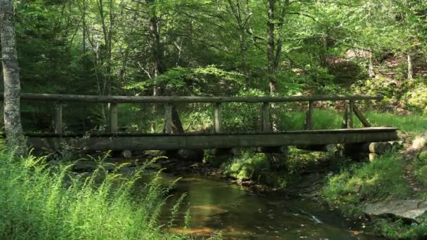 Seorang Pria Melintasi Jembatan Judy Springs Dalam Area Rekreasi Nasional — Stok Video