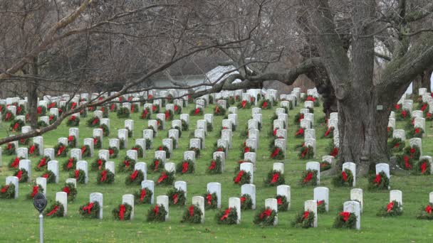 节假日的花环安放在阿灵顿国家公墓K区的军人坟墓上 这也是整个美国花环计划的一部分 — 图库视频影像