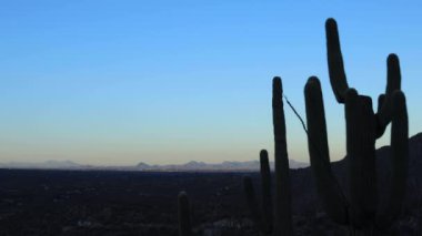 Tucson ve Tanque Verde Vadisi 'nin gündoğumunda Santa Catalina dağlarında görüldüğü gibi. Saguaro Cacti ön planda görünüyor..