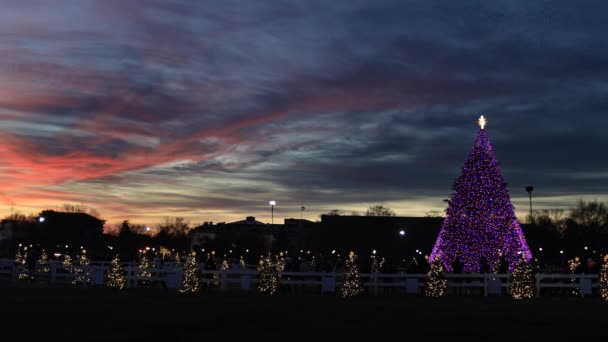 Όμορφο Εθνικό Χριστουγεννιάτικο Δέντρο Στο Πάρκο Του Προέδρου Στην Ουάσιγκτον — Αρχείο Βίντεο