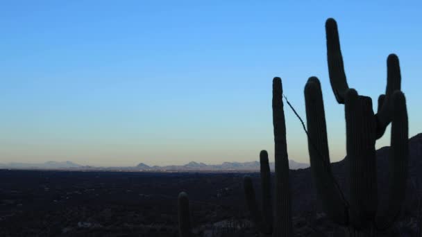 图森和坦凯佛得角谷的日出时间差 从圣卡塔琳娜山脉可以看到 Saguaro Cacti被放在了前沿阵地 — 图库视频影像