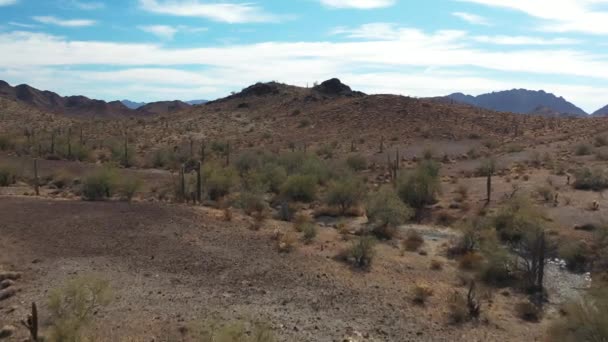 アリゾナ州クォーツサイトの南にあるソノラ砂漠での丘や山々の空中撮影 カメラは動きのある人形で前方に飛ぶ 遠くにはコファ国立野生生物保護区が見える — ストック動画