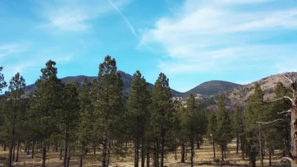 Letecký Snímek San Francisco Peaks Který Nachází Severně Flagstaffu Arizoně — Stock video
