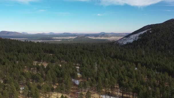 Vzdušný Výstřel Letící Nad Vrcholky Stromů Ponderosa Pine Národním Lese — Stock video