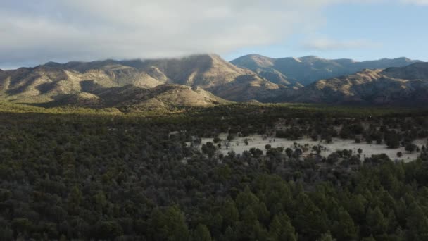 Güney Arizona Daki Coronado Ulusal Ormanı Nda Gün Doğumunda Chiricahua — Stok video