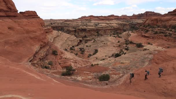 Group Three Hikers Descend Canyon Located Maze District Canyonlands National — Stock Video
