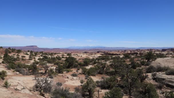 Güneşli Bir Günde Utah Taki Canyonlands Ulusal Parkı Nın Maze — Stok video
