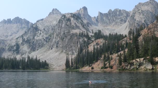 Hombre Nada Lago Alice Gran Lago Alpino Ubicado Idahos Sawtooth — Vídeo de stock