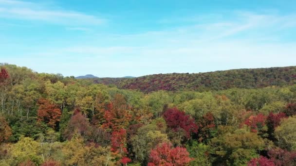 Spruce Knob Seneca Creek Backland Batı Virginia Daki Monongahela Ulusal — Stok video