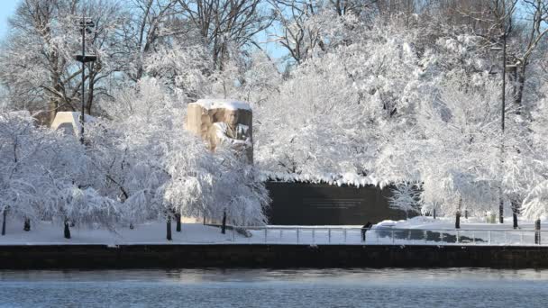 冬の嵐の後 美しい雪に覆われたマーティン ルーサー キング ジュニア Mlk 記念碑 周囲の木々は雪で白くなっている 観光客1人 — ストック動画