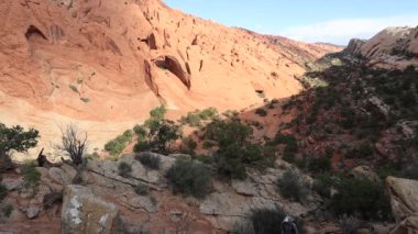 Erkek bir yürüyüşçü Utah 'taki Capitol Reef Ulusal Parkı' ndaki Yukarı Muley Twist Kanyonu 'nda bir patikaya çıkıyor. Arka planda 'Saddle Arch' görülüyor.