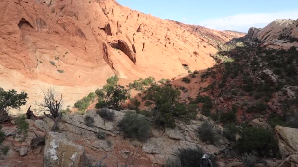Male Hiker Ascends Trail Upper Muley Twist Canyon Capitol Reef — Stock Video