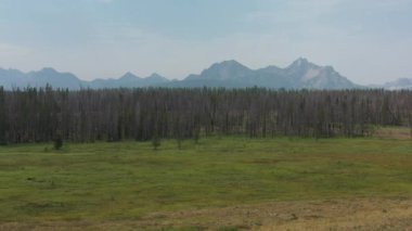 McGecelik Tepesi bir yaz günü Stanley, Idaho yakınlarındaki Sawtooth Ulusal Rekreasyon Bölgesi 'ndeki Park Creek Overlook' ta görüldü. Kamera, kırık bir demiryolu zigzag ahşabını ortaya çıkarmak için el sallıyor. 