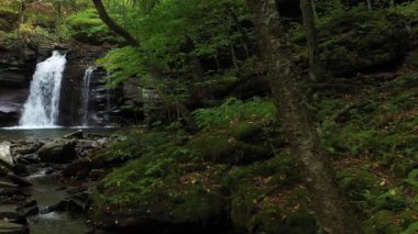 Upper Seneca Falls, a large waterfall in the Spruce Knob/Seneca Creek Backcountry, part of the Monongahela National Forest in West Virginia. Seen during the early autumn season. The camera tracks left.