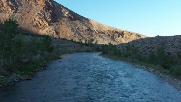 Custer County Deki Idaho Nun Somon Nehri Nin Bir Yaz — Stok video