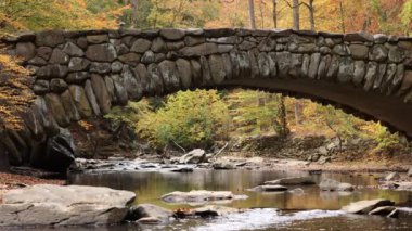 Boulder Köprüsü, simgesel taş kemeriyle, Washington, D.C. 'deki Rock Creek Parkı' nı çevreleyen canlı bir sonbahar yeşilliği ile akıntıdan aşağıya doğru çekilen pitoresk bir görüntü..