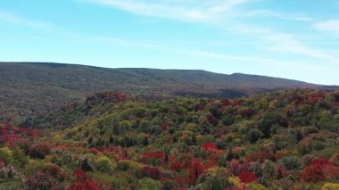 Batı Virginia 'daki Monongahela Ulusal Ormanı' nın bir parçası olan Spruce Knob-Seneca Creek Backcountry 'deki sonbahar ağacı yapraklarının hava görüntüsü. Kamera eyaletin en yüksek noktası olan Spruce Dağı 'na doğru ilerliyor..