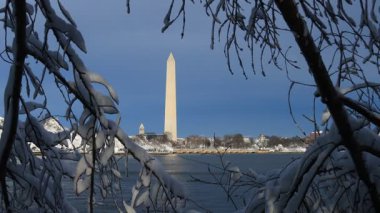 Washington, D.C. 'deki gelgit havzası ve Washington Anıtı büyük bir kar fırtınasının ardından görüldü. Önde karla kaplı kiraz ağacı dalları var..