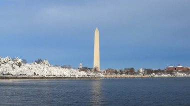 Washington, DC 'deki gelgit havzasında kış fırtınasının ardından beyaz kar kiraz ağaçlarını kaplıyor. Washington Anıtı mavi gökyüzüne karşı görünür..